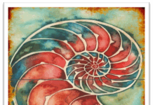 TEMSİLİN SÖMÜRÜSÜNDEN HİKÂYENİN ÖZERKLİĞİNE: STK’lar İçin Etik Hikâye Anlatımı ve Dekolonyal İletişim Kılavuzu